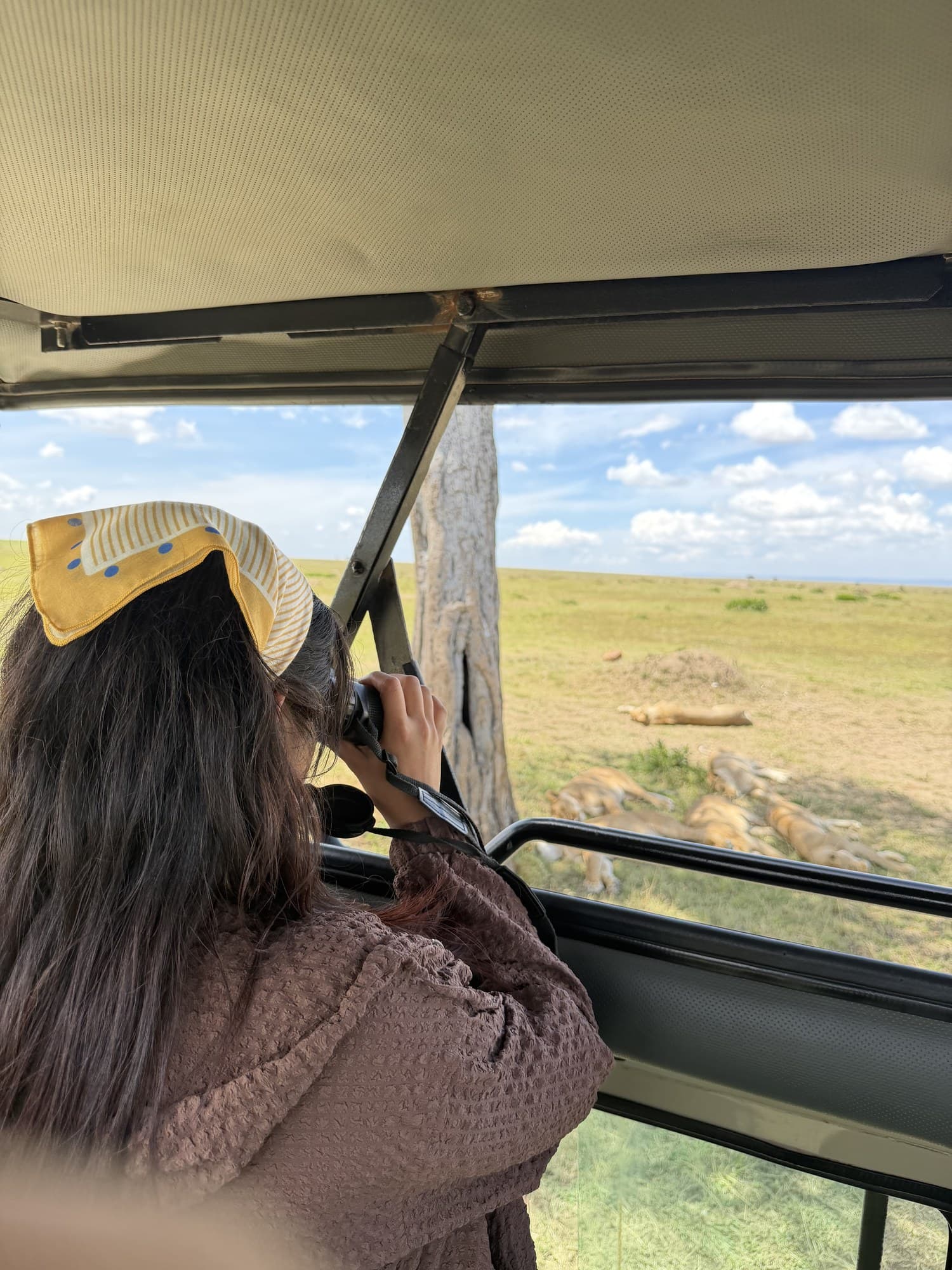 I went on a safari last December