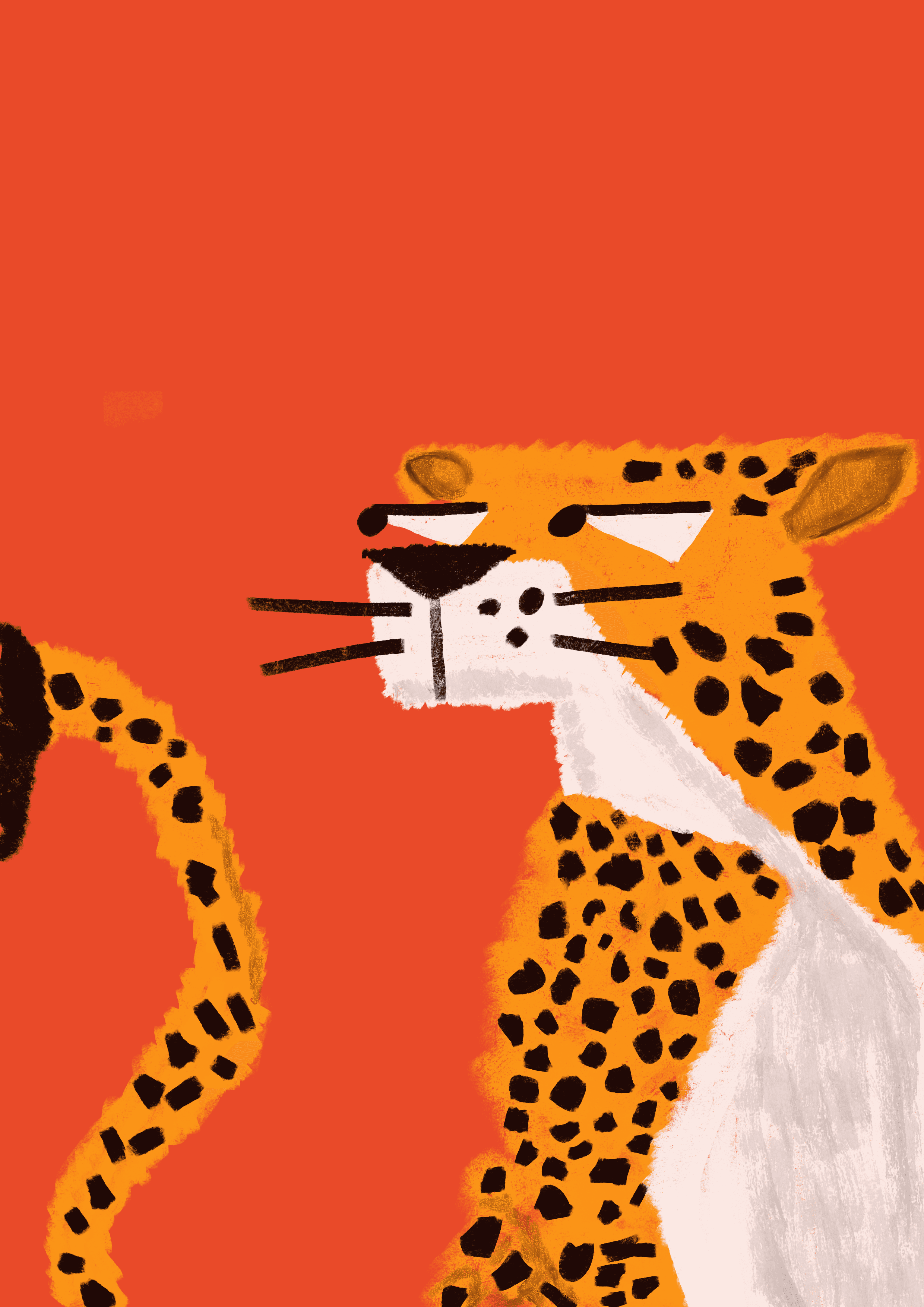 Cheetah — illustration
