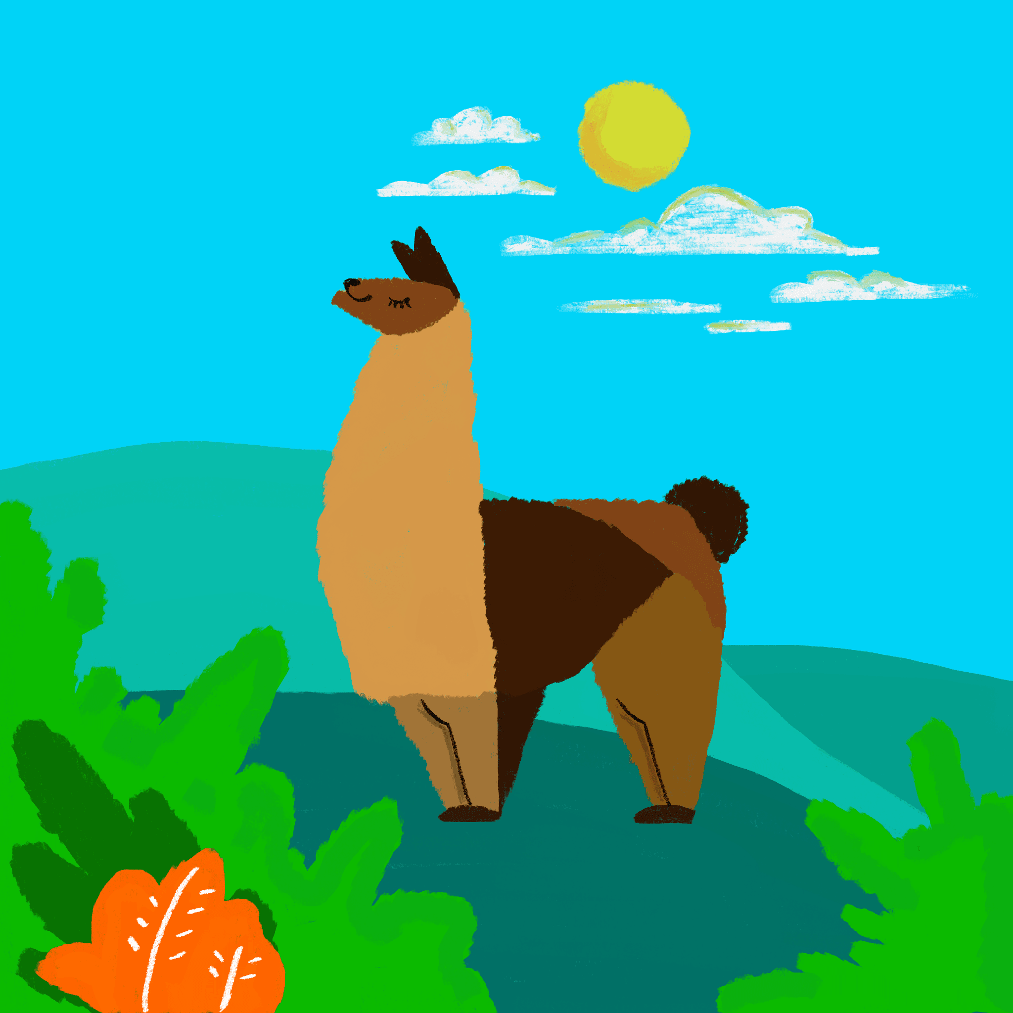 Lama — illustration